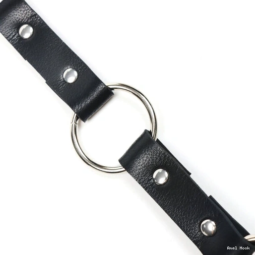 Kinky Hook Collar Anal Leash EverydayUse 5853 with and 1226